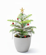 Load image into Gallery viewer, Christmas Tree