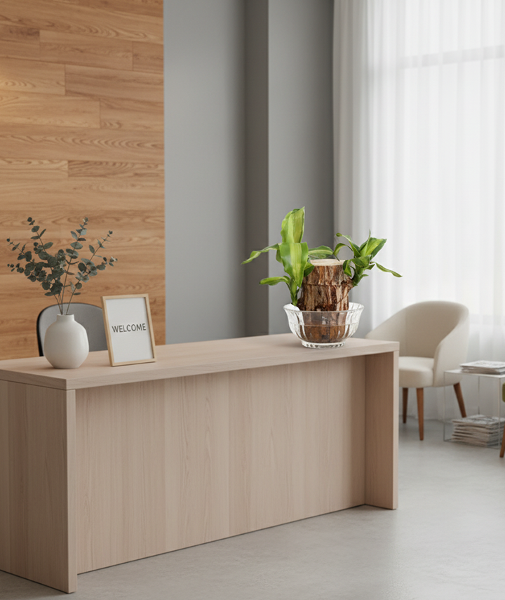 Brazilian Wood Plant